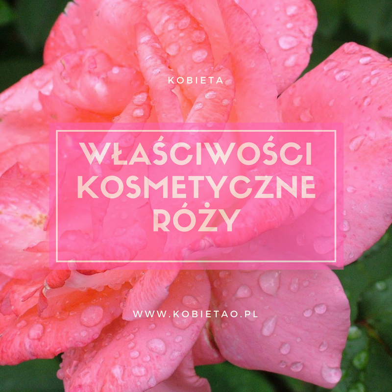 Róża nie tylko do wazonu. Właściwości kosmetyczne róży.